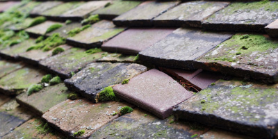 Wymondham roof repair costs